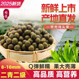 2025安徽天长龙岗鸡头果精品二青二级新鲜带壳野生鸡头芡实米450g