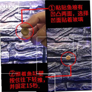 海豚贴片鱼食小型贴片粘贴鱼粮热带观赏孔雀鱼通用小鱼灯科鱼饲。