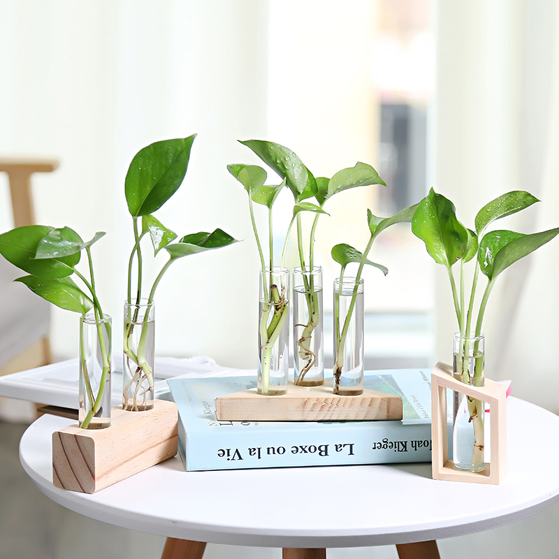 办公透明水养绿萝观音竹插花瓶