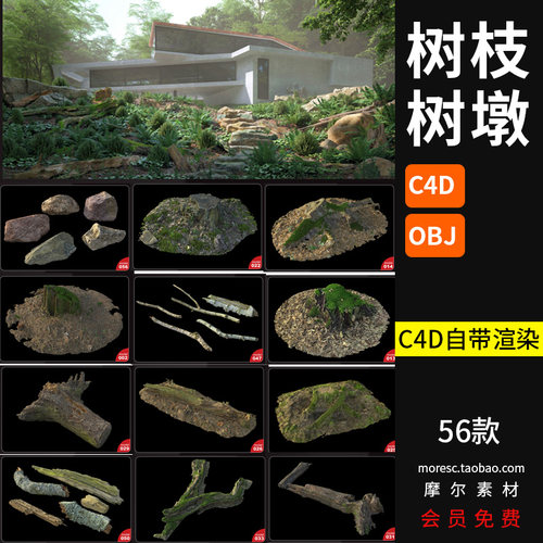 56款C4Dobj格式植物断树根树枝树干岩石树墩石头模型素材MX303