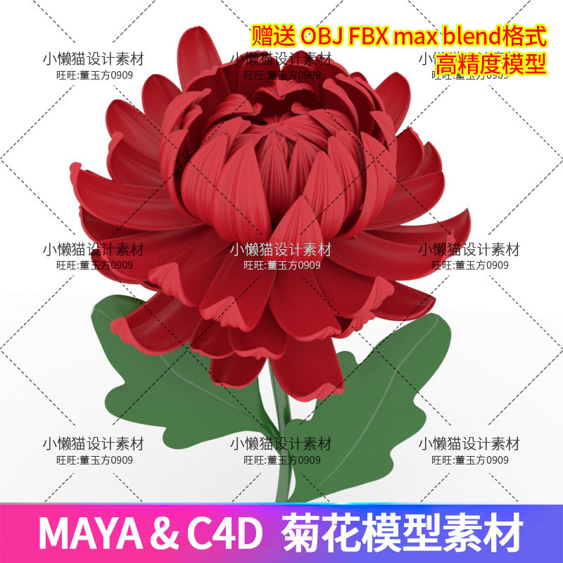 Maya菊花blender鲜花3dmax花卉c4d菊花obj fbx菊花模型素材-07320
