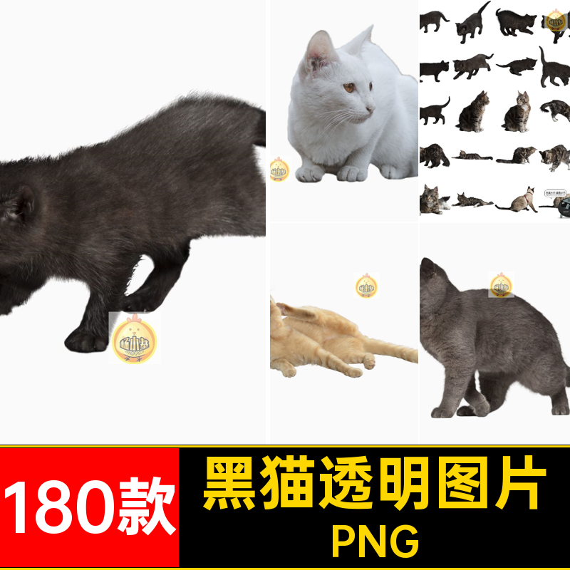 可爱猫咪小猫花猫黑猫小奶猫宠物猫动物免抠PNG透明背景图片素材