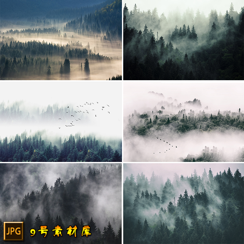 雾气森林树林风景 意境禅意雾山天气远山森林高清背景墙素材图片