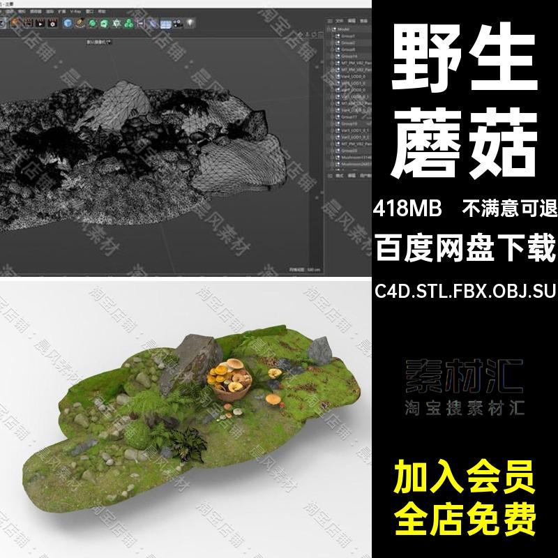 蘑菇三维模型草地野生C4D青苔FBX石块3DC4D.STL.FBX.OBJ.SU菌子
