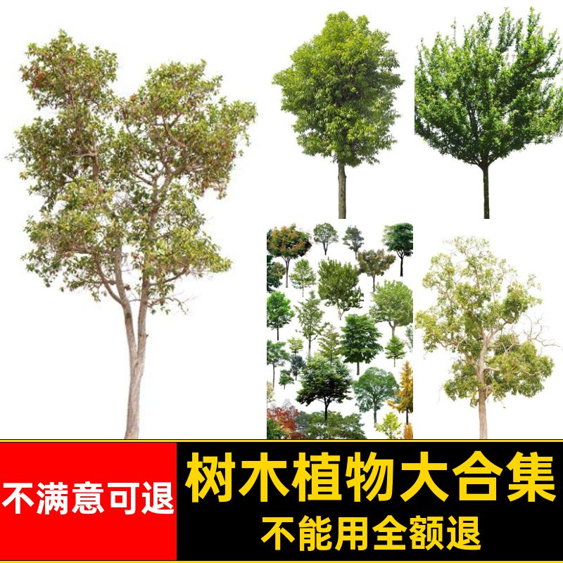 树木植物大合集免景观ps乔木PSD园林小乔PNG常绿后期抠效果图素材