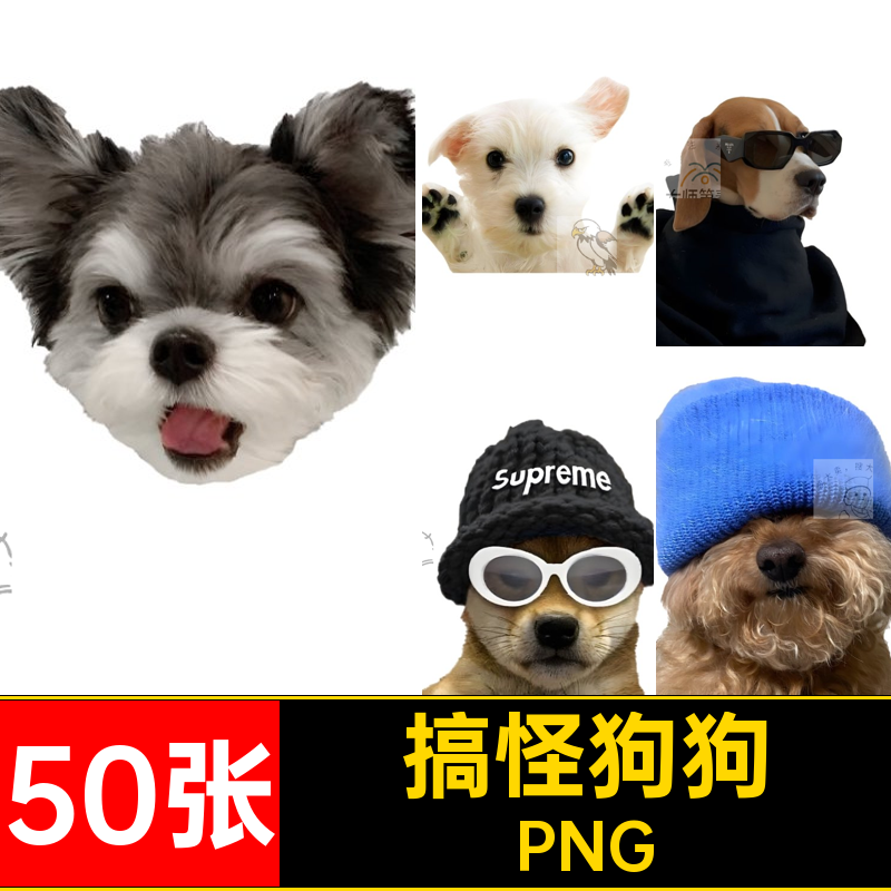猫猫免抠PNG拼贴手头像账小动物ins搞怪素材图案印花狗狗50张PNG