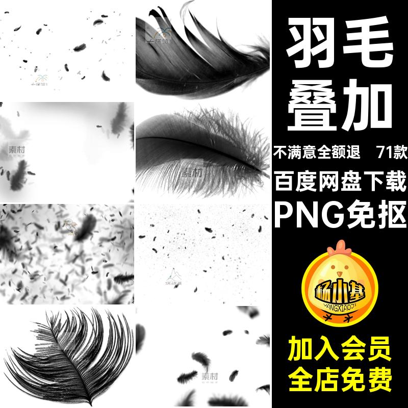 白色黑色透明羽毛素材飘舞PNG免抠扣叠加鸟合成71款洁白飘落元素