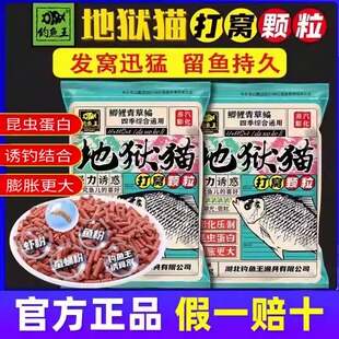 钓鱼王鱼饵地狱猫打窝颗粒300g昆虫蛋白膨胀膨化鱼粉虾粉味窝料