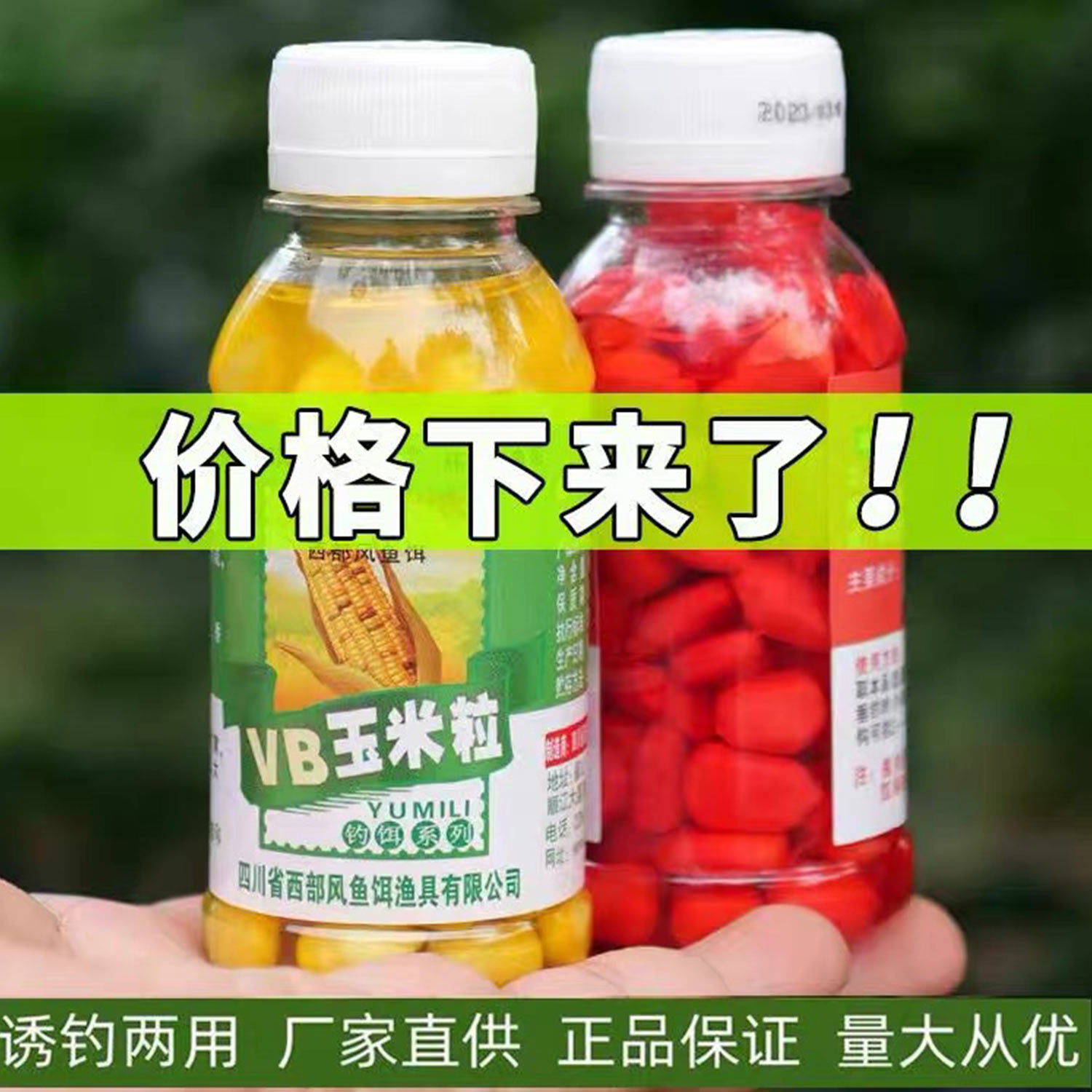 西部风vb玉米王生鲜嫩钓鱼挂钩玉米粒麦粒串钩鲫鲤鱼钓饵打窝