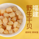 BIG CAT霞浦无盐淡干干贝辅食食材