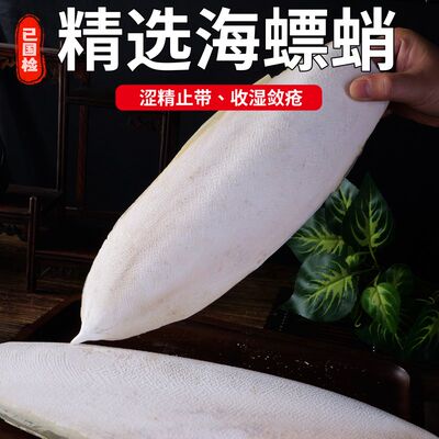 大海螵蛸墨鱼骨大块墨鱼骨乌贼骨