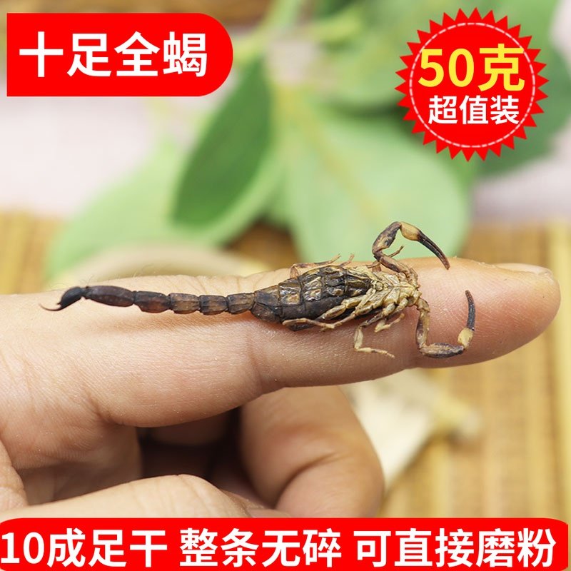 全蝎中药材50克清水全蝎干货全虫足干无盐公蝎子泡酒售水蛭蜈蚣干