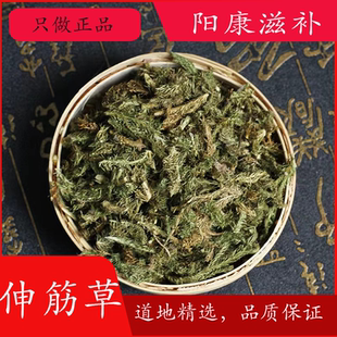 野生伸筋草中药500克g正品另售伸筋草透骨草中药材新货