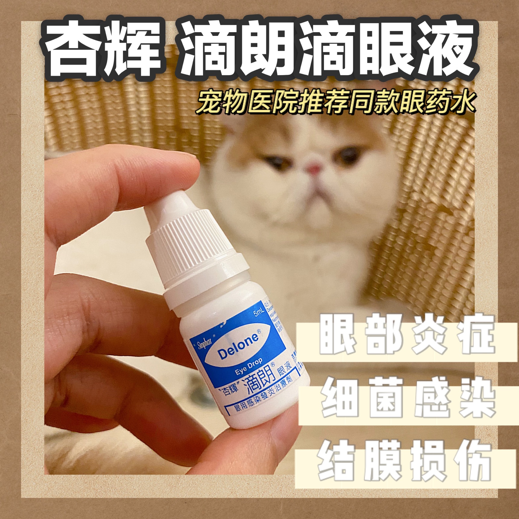 杏辉滴朗滴眼液狗狗猫咪流眼泪加菲猫去泪痕神器结膜角膜炎眼药水