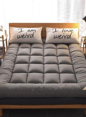 Thicken lamb wool Mattress Pad Student dormitory Single mat