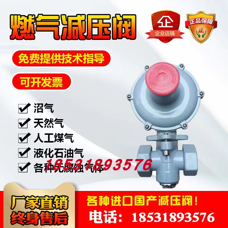 天然气饭店专用大流量稳压阀