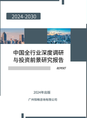 2025行业报告市场调研研究深度数据分析投资前景战略教育医疗旅游