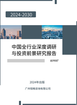 2024行业报告市场调研研究深度数据分析投资前景战略教育医疗旅游