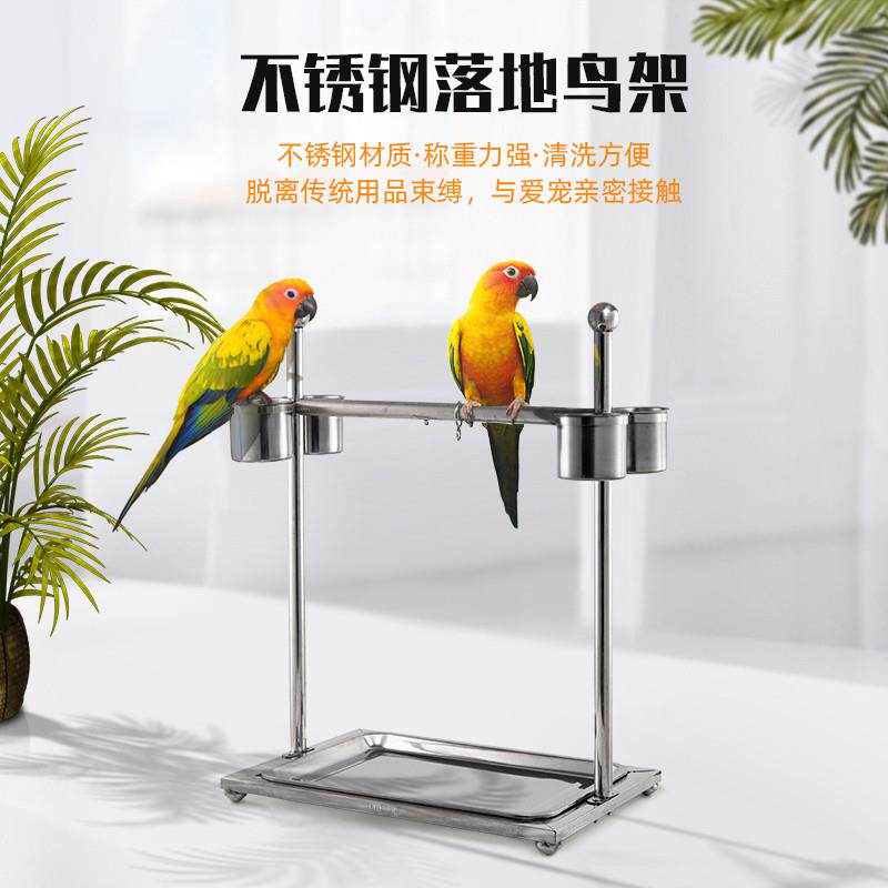 鹦鹉鸟架子不锈钢站笼站架鹩哥玄凤大型鹦鹉鸟笼子八哥脚炼站杆新