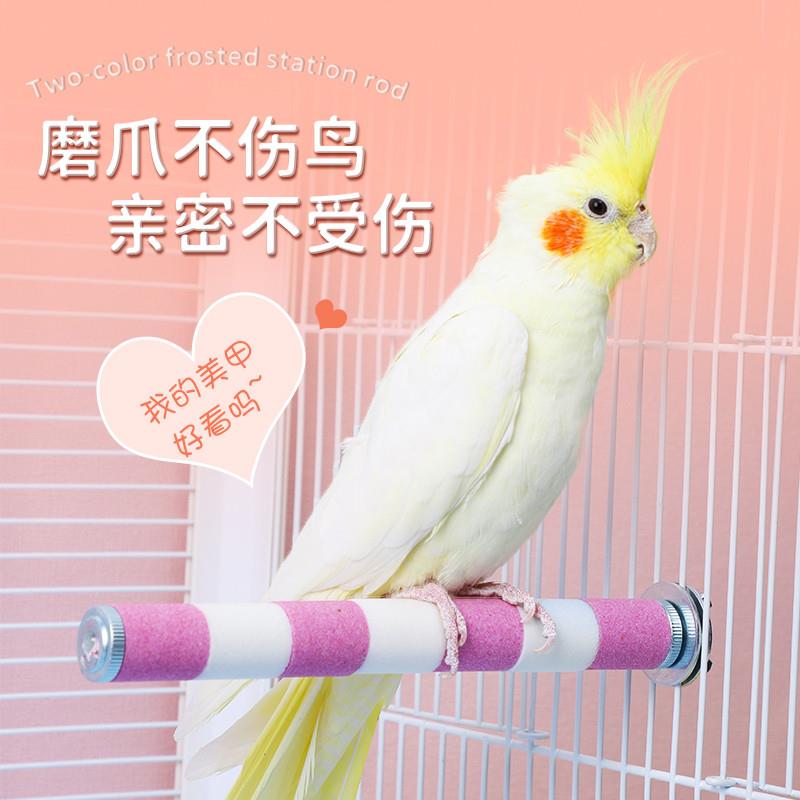 鹦鹉磨爪棒磨砂站杆鸟笼站棍站架不锈钢虎皮玄凤专用磨嘴磨牙用新
