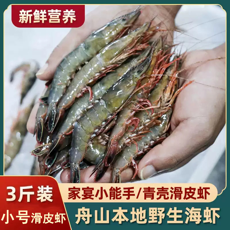 舟山海鲜水产野生海捕青壳滑皮虾
