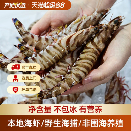 舟山海鲜九节基围大虾速冻