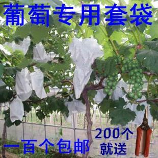 果袋纸袋量大果农遮光常用葡萄袋水蜜桃各种防虫耙耙柑丑橘|ruв категории доставка цветов/цветок моделирования/растения садоводства, садовых принадлежностей, других садовых принадлежностей - от Buy2taobao.com для оказания профессиональной услуги покупки агента Taobao