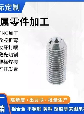 BPSL/BPJL/BPWL/NPSL/NPJR/NSJL 球头柱塞 加长型