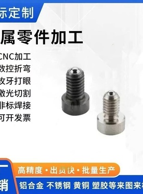 PBSHS/4柱塞 小型球头柱塞_PBFH