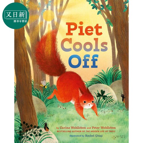 皮特冷静下来PietCoolsOff