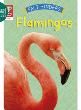 Reading Gems Fact Finders Flamingos Level 1 宝石百科小读本1级 火烈鸟 分级阅读 英文原版 动物科普儿童读物