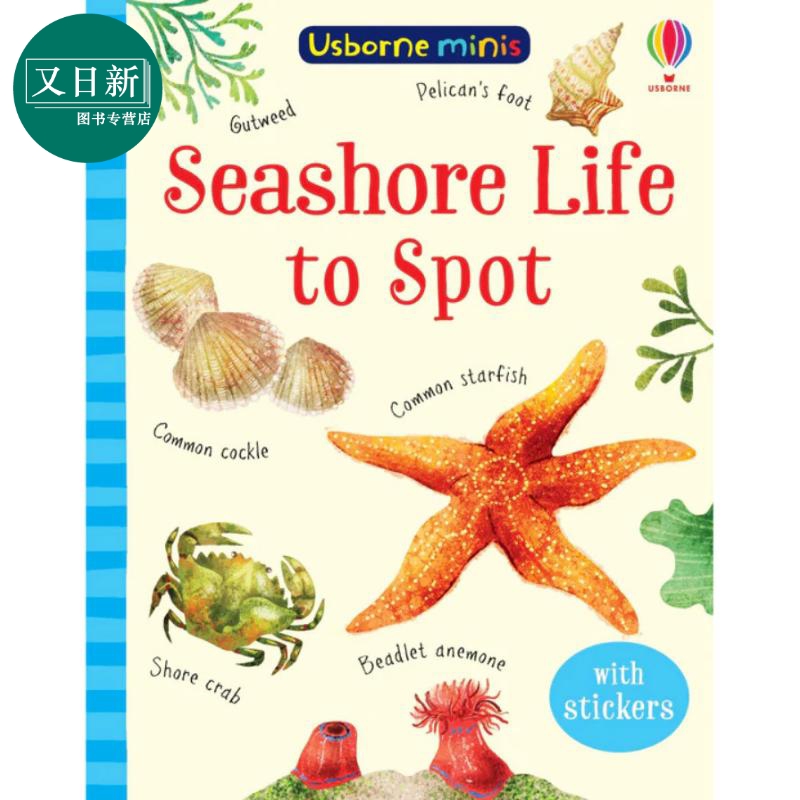Seashore Life to Spot 海边的发现 尤斯伯恩迷你书系列 Usborne Minis 儿童绘本知识图画书 英文原版进口童书 又日新