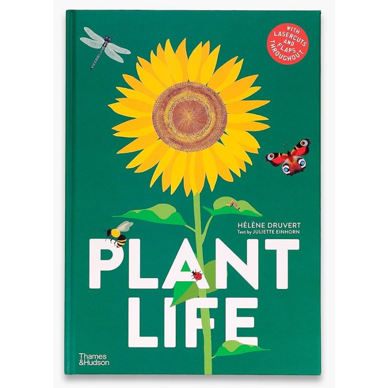 镂空植物生长PlantLife