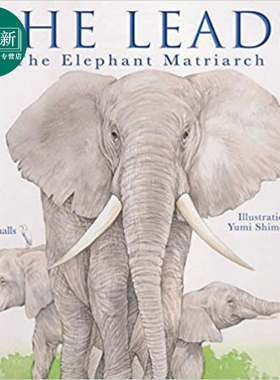 She Leads The Elephant Matriarch 带领大象 英文原版儿童绘本 动物及动物故事主题  June Smalls 6到9岁 又日新