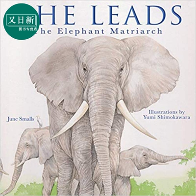 预售SheLeadsTheEle