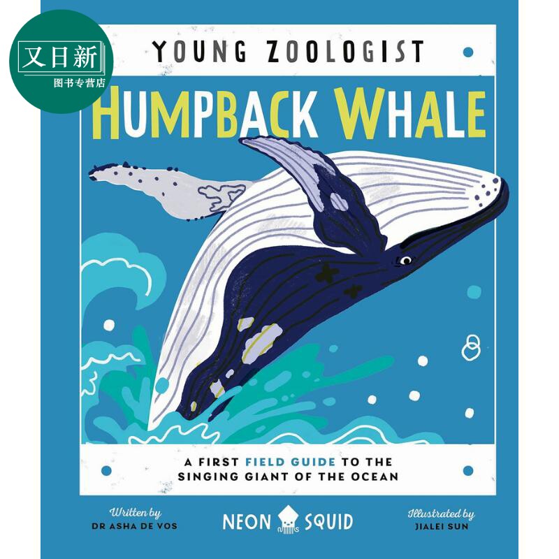 Young Zoologist：Humpback Whale 小动物家：座头鲸 英文原版进口 儿童百科绘本 动物科普知识图书 精装知识绘本 又日新