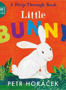 镂空书 小兔子 Petr Horácek Little Bunny 英文原版进口 低幼儿童纸板书 亲子绘本 故事图画书 进口童书2-5岁 又日新