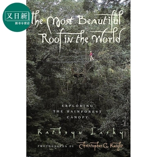世界上至美的屋顶 探索雨林的树冠 The Most Beautiful Roof in the World 英文原版 科普绘本 进口童书 小初文学 又日新