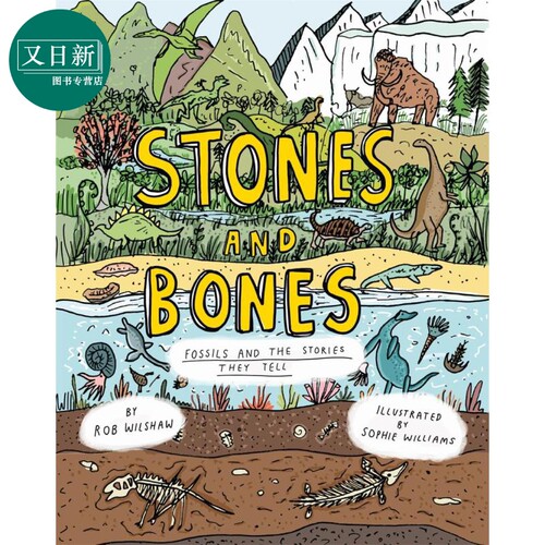 藏在化石中的历史 Stones and Bones Fossils and the stories they tell英文原版 儿童科普绘本精装自然科学读物 又日新