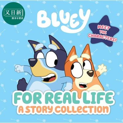 小蓝狗布鲁里集合故事