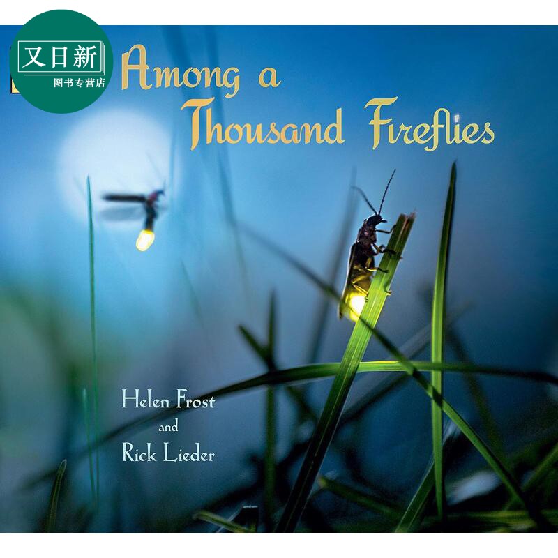 萤火虫之歌 among a thousand fireflies 英文原版 儿童科普绘本 动物