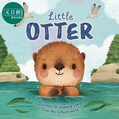 自然的微小故事：小水獭