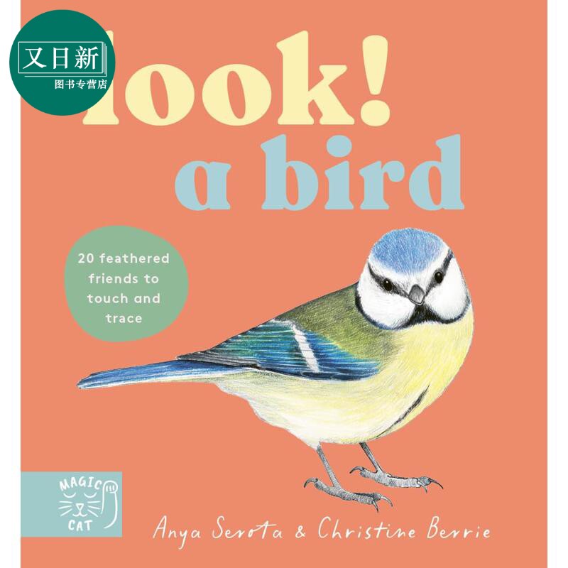 看 一只鸟 Look A Bird 英文原版 亲子纸板书 奇妙的鸟类图鉴 早教认知图画书绘本 进口童书 幼儿科普读物 0-3岁 又日新