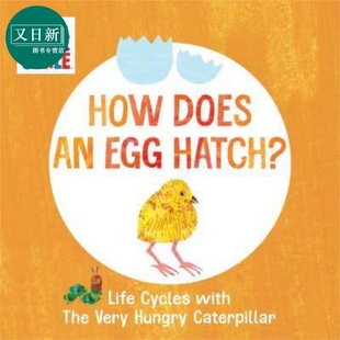 Life Cycles The Very Hungry Caterpillar Egg Hatch 艾瑞卡尔蛋的孵化过程 英文原版儿童绘本 早教纸板书 又日新