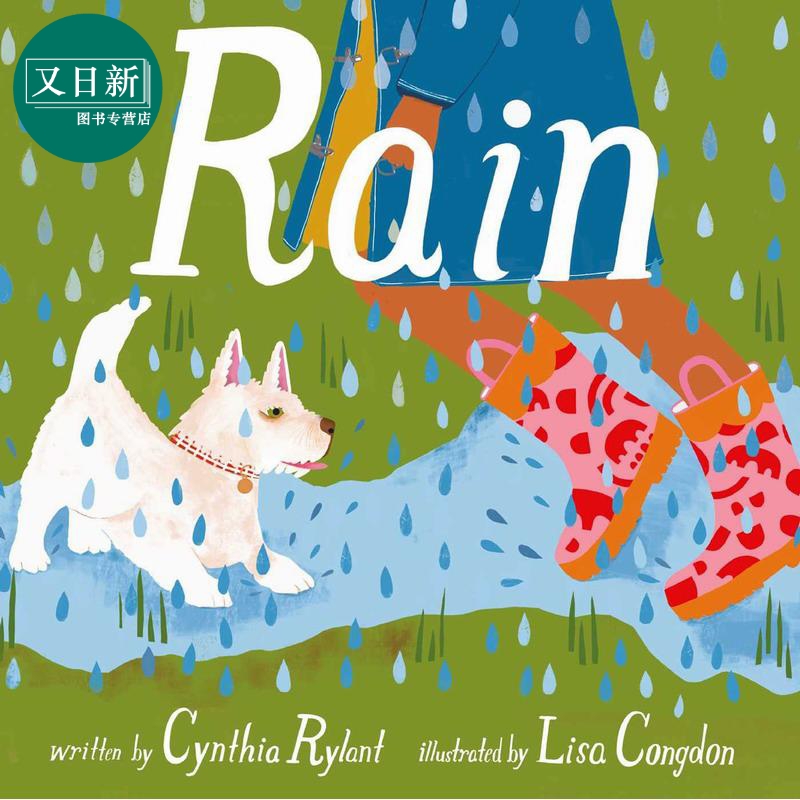 Lisa Congdon:Rain 雨声 英文原版 进口图书 儿童绘本 故事图画书 精装名家绘本 自然欣赏儿童读物 4-8岁 又日新
