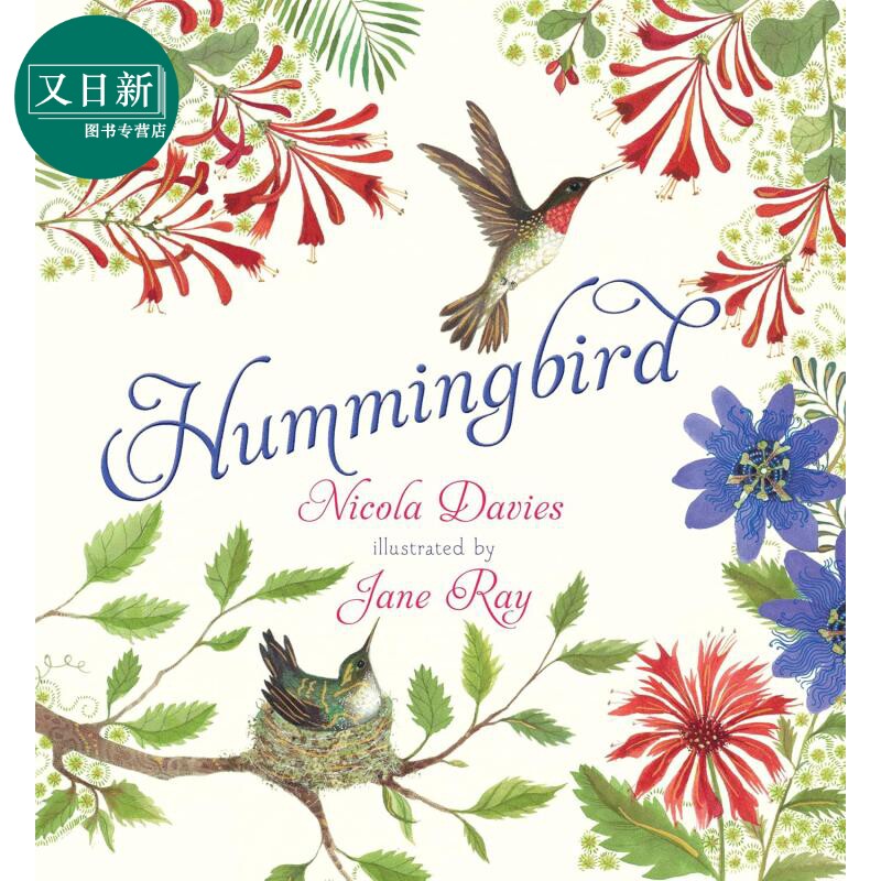 蜂鸟 Hummingbird 英文原版 儿童科普绘本 动物知识百科图画书 精美自然故事书 进口图书 自然科学读物 5岁以上 又日新