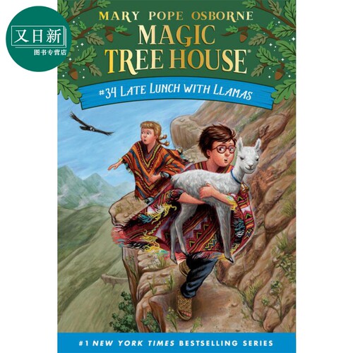 预售MagicTreeHouse