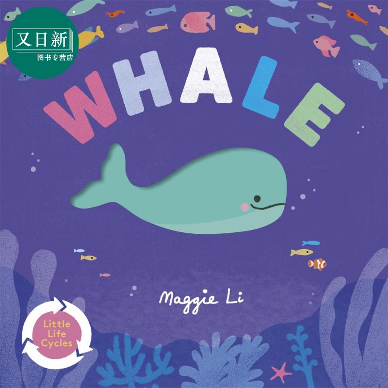 生命周期鲸鱼英文原版纸板书