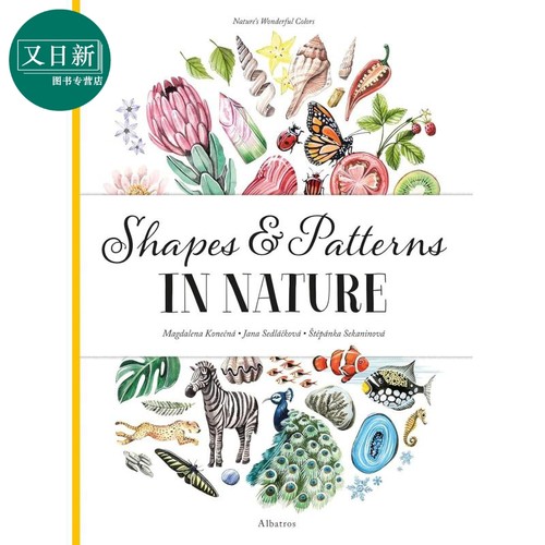 自然的颜色自然界的形状和模式