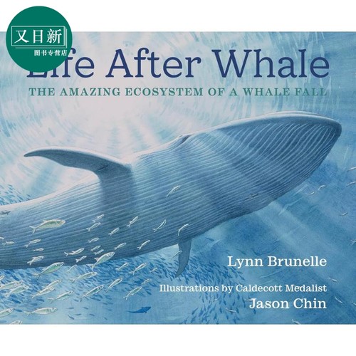 陈振盼 一鲸落万物生 Jason Chin Life After Whale 英文原版 儿童科普绘本 自然科学知识图画书 精装 进口图书 又日新